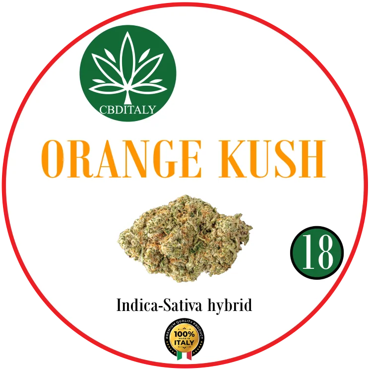 CBDITALY Orange Kush CBD 18% infiorescenza di canapa ibrido Indica-Sativa, 100% Italia