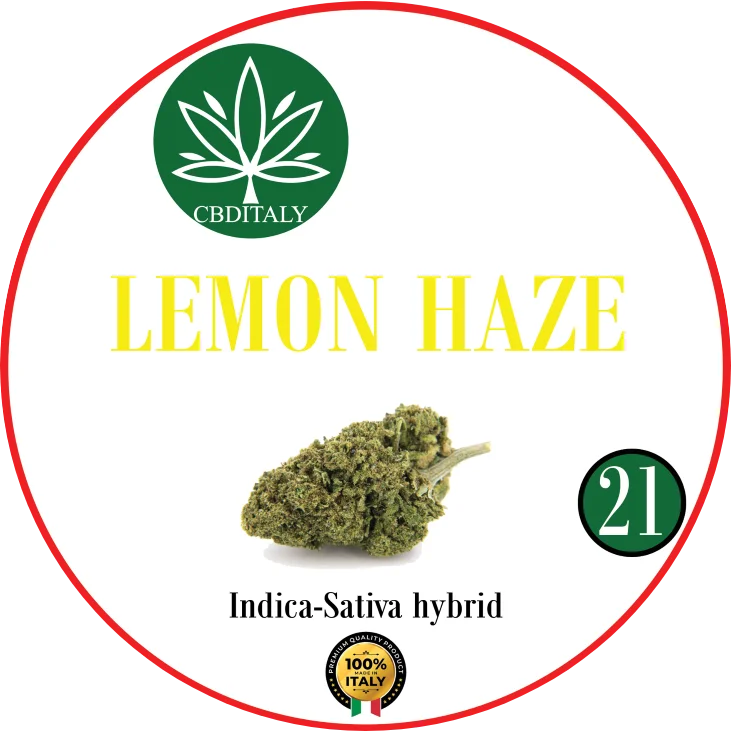 CBDITALY Lemon Haze CBD 21% – fiore di canapa ibrido Indica-Sativa, prodotto in Italia