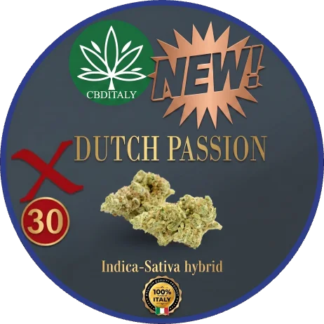CBG DUTCH PASSION X