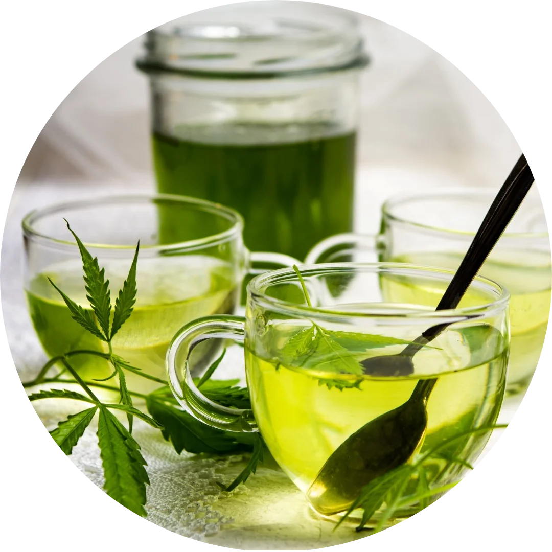 CBDITALY tisana alla canapa in tazze di vetro con foglie fresche e infuso verde aromatico