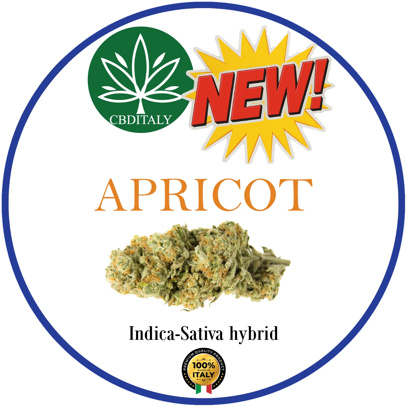 CBDITALY Apricot CBD 21% nuovo – fiore di canapa ibrido Indica-Sativa, prodotto in Italia