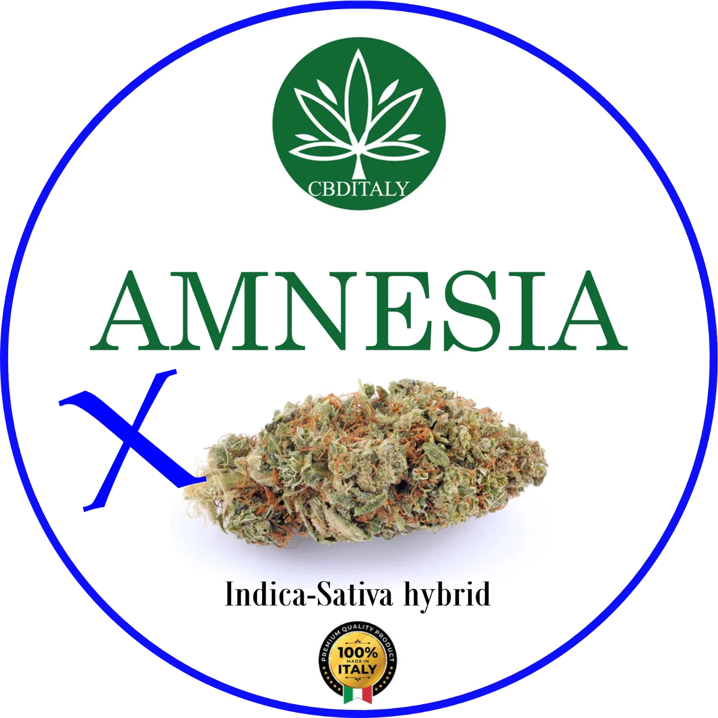 CBDITALY Amnesia CBD – infiorescenza allungata ibrido Indica-Sativa con pistilli ambrati, 100% Made in Italy