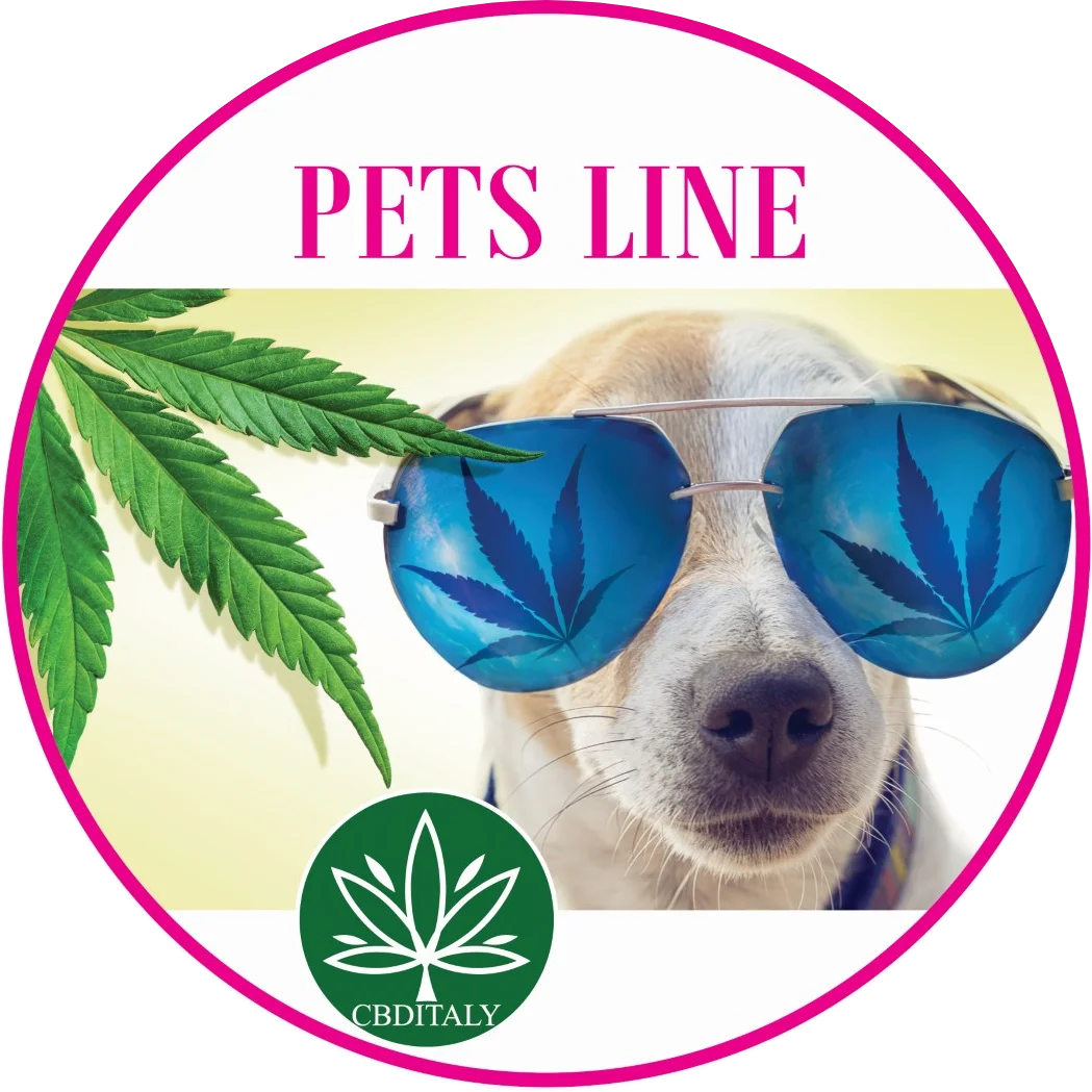 CBDITALY categoria Pets Line – cane con occhiali da sole e foglia di canapa, integratori wellness CBD per animali