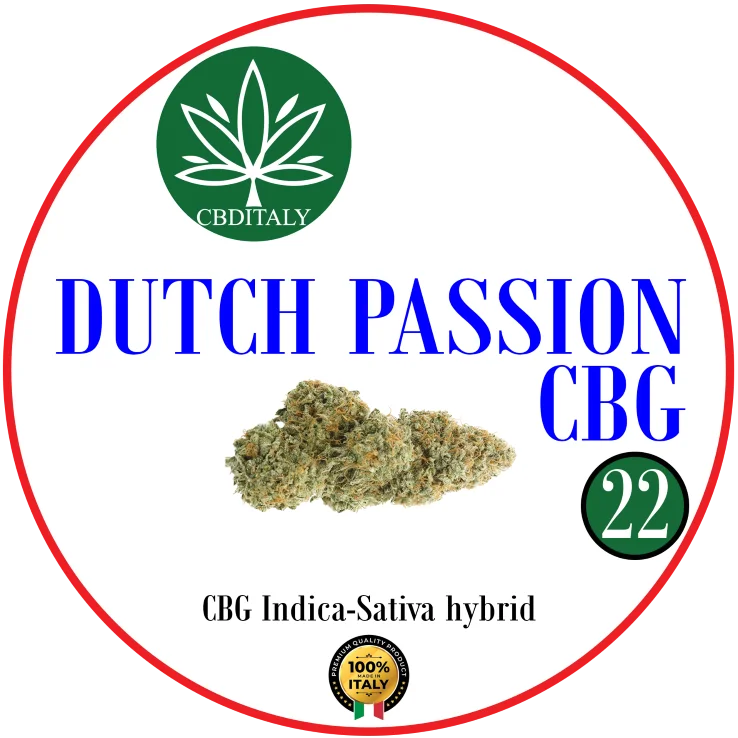 CBDITALY Dutch Passion CBG 22% infiorescenza di canapa ibrido Indica-Sativa, 100% Italia